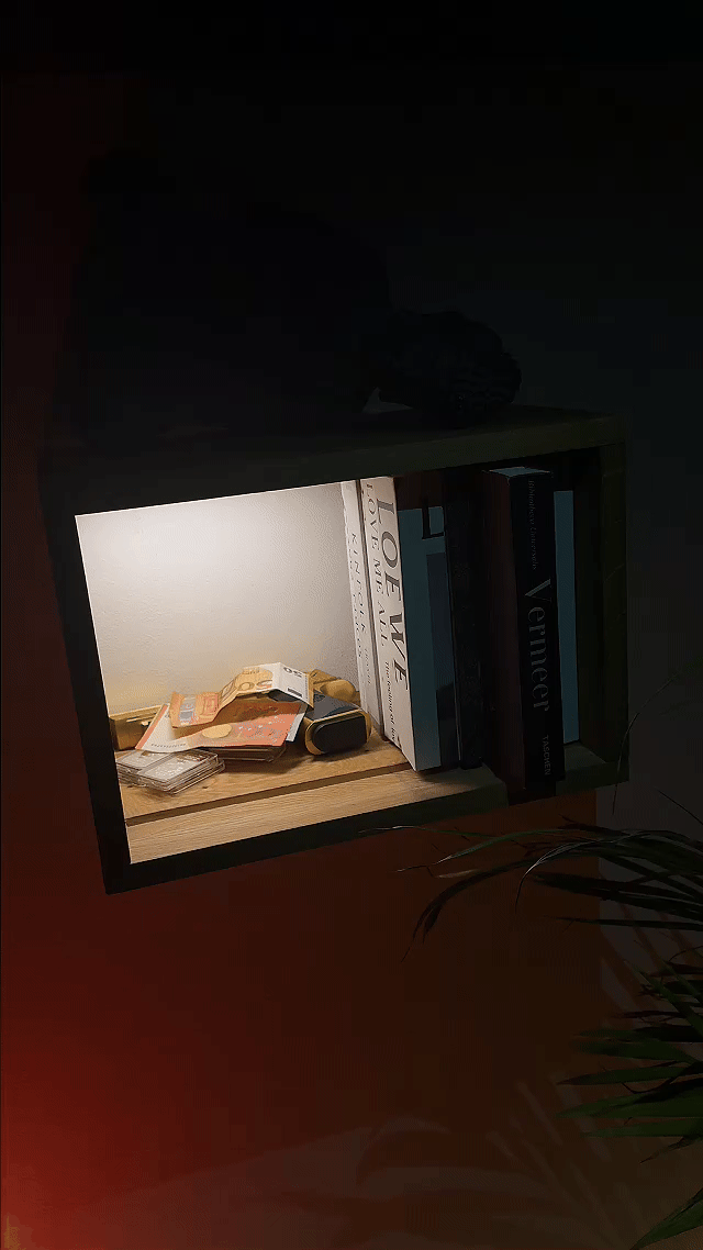 HausVersteck™ Bücherregal mit Geheimfach