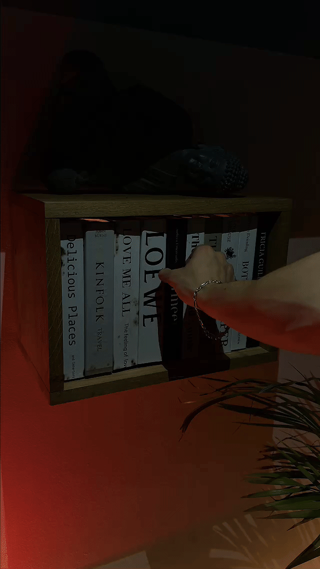 HausVersteck™ Bücherregal mit Geheimfach
